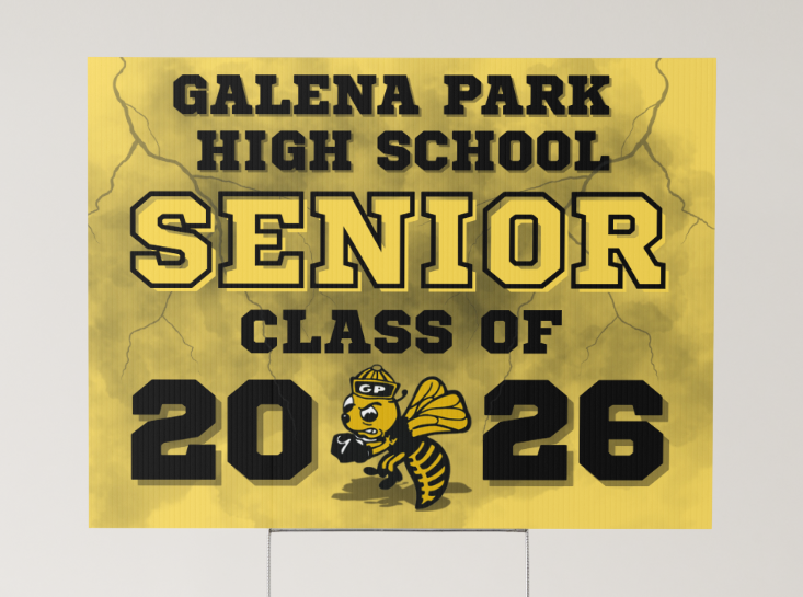 Senior Personalized Yard Signs